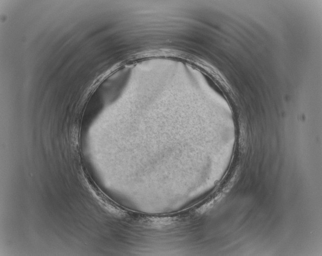 X0000079580849200612221429