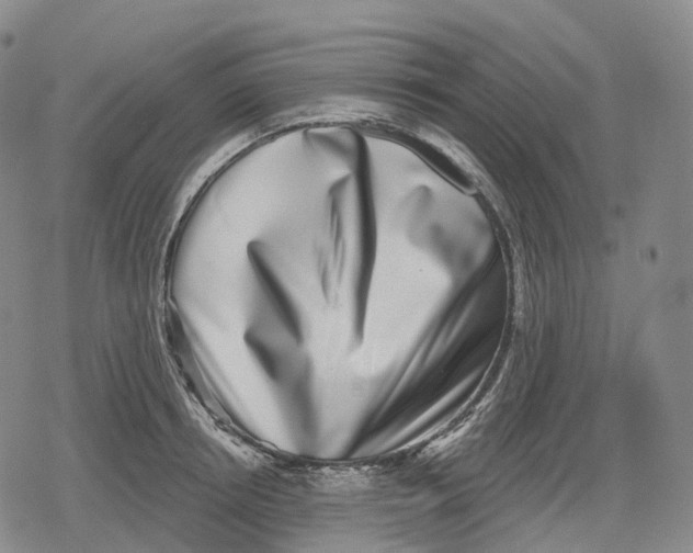 X0000079580850200612221429