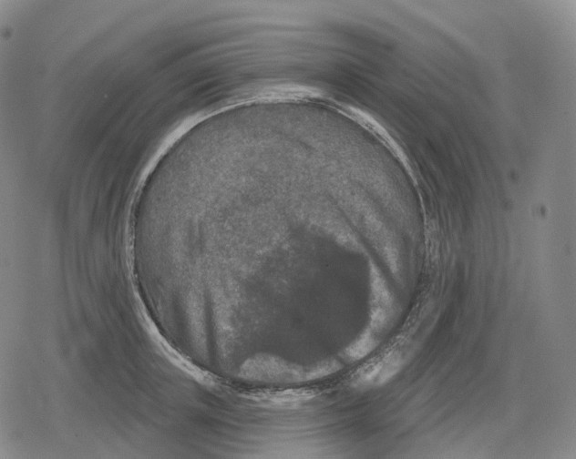 X0000079580851200612221429