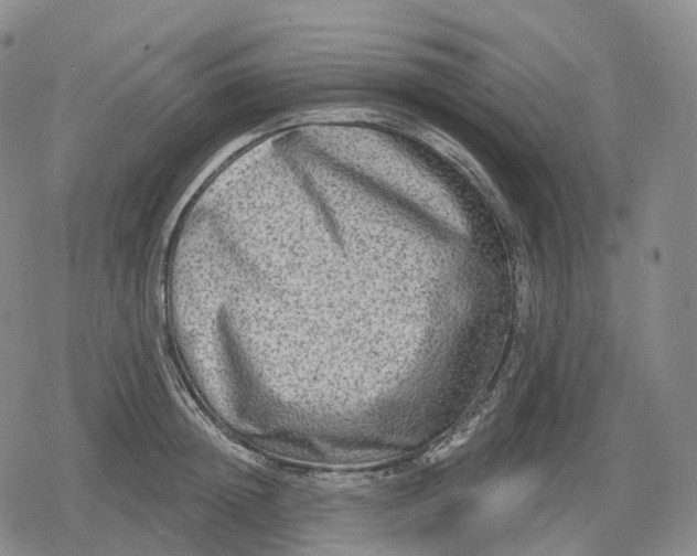 X0000079580852200612221429