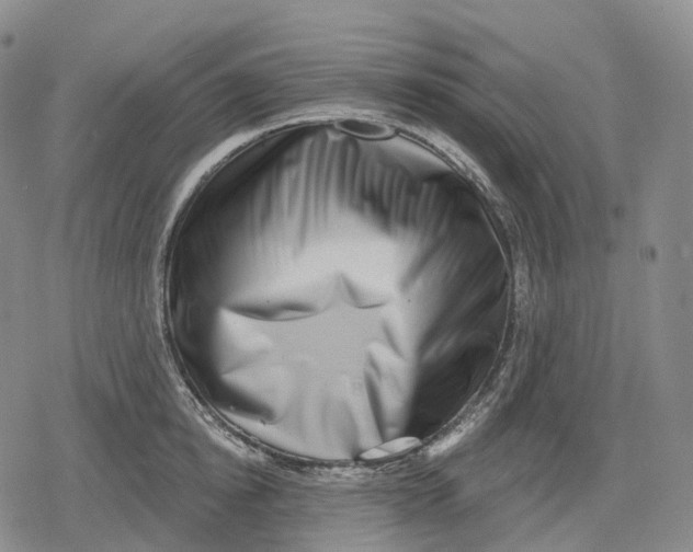 X0000079580854200612221429