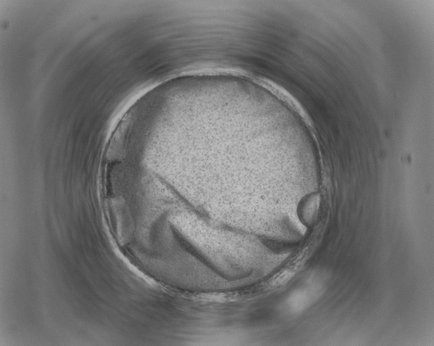 X0000079580855200612221429