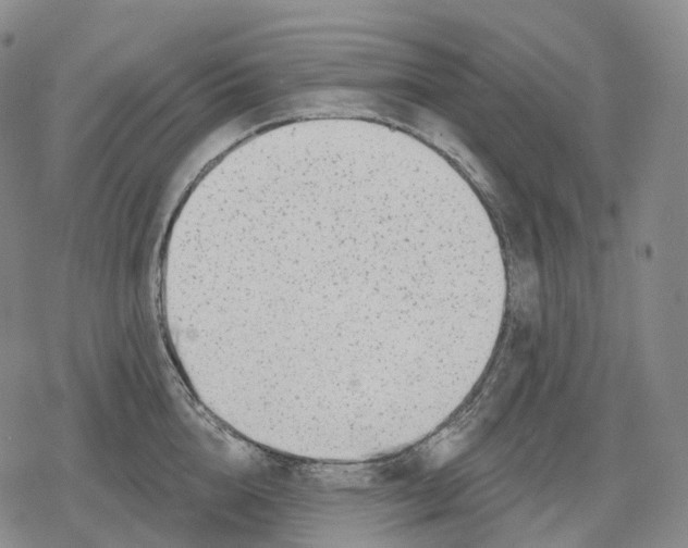 X0000079580856200612221429