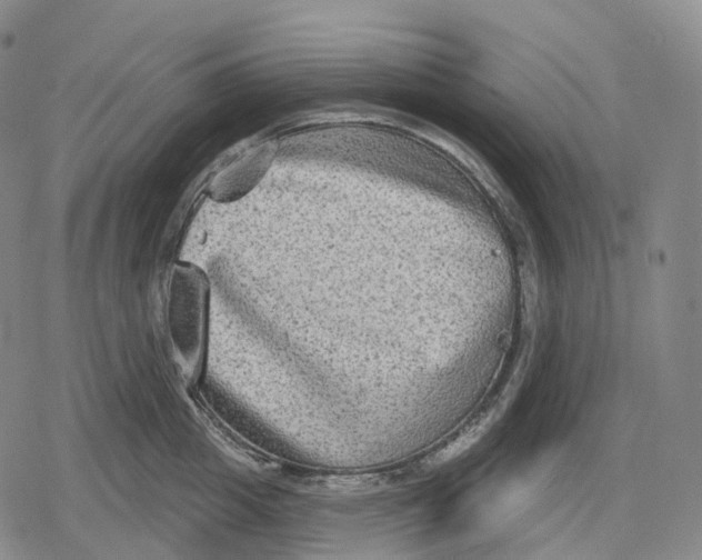 X0000079580857200612221429