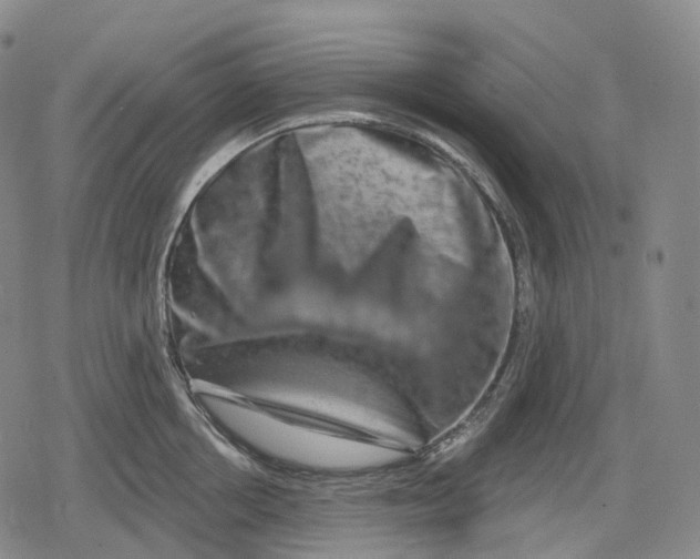 X0000079580858200612221429