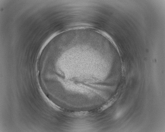 X0000079580859200612221429