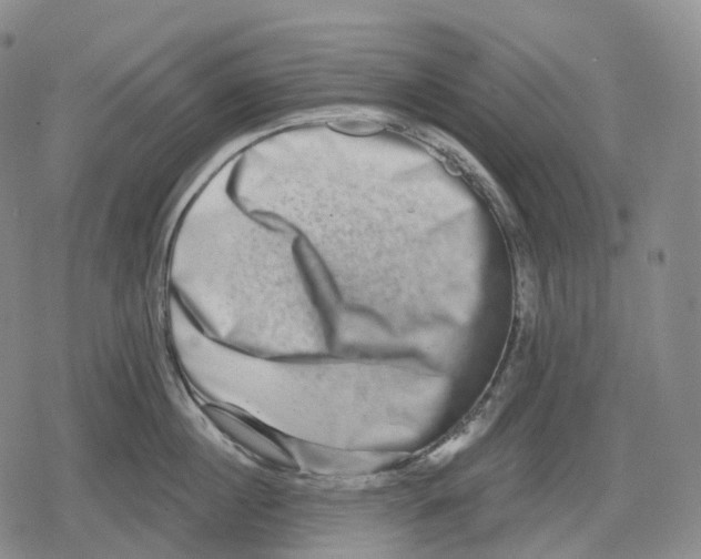 X0000079580860200612221429