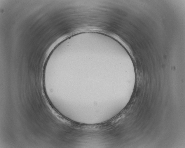 X0000079580861200612221429