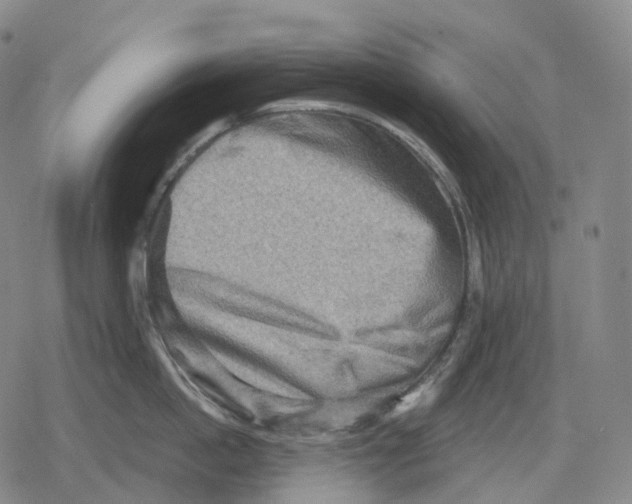 X0000079580862200612221429