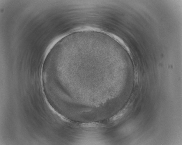 X0000079580863200612221429