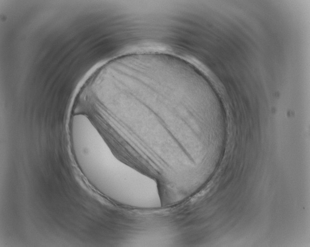 X0000079580864200612221429