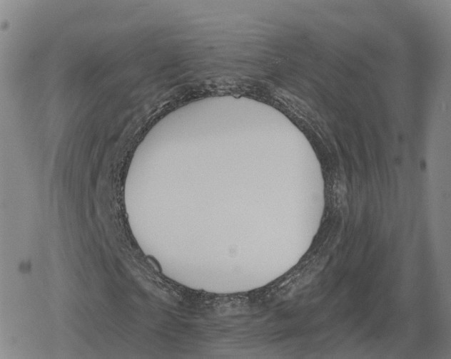 X0000079580865200612221428