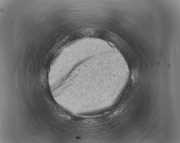 X0000079580867200612221428