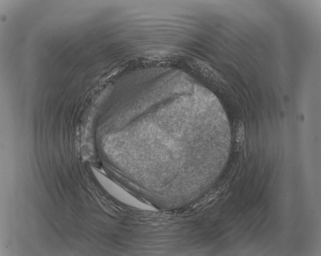 X0000079580868200612221428