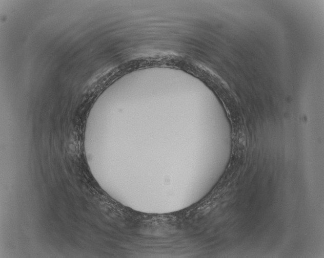 X0000079580869200612221428