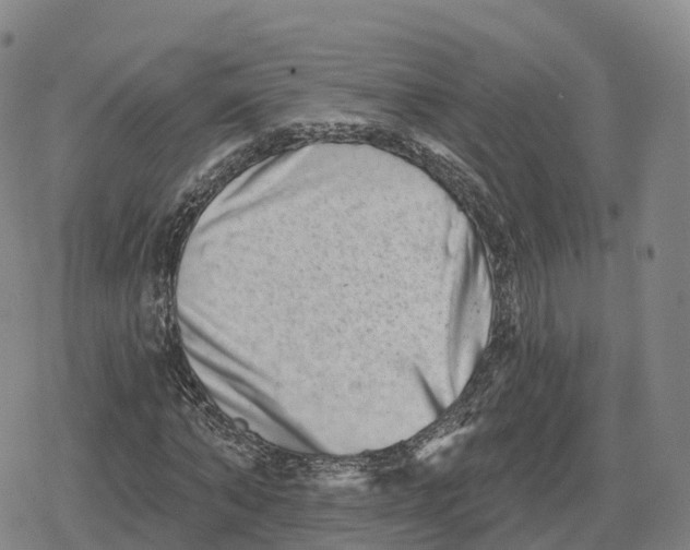 X0000079580870200612221428