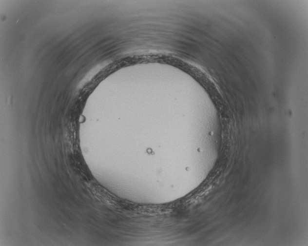 X0000079580871200612221428