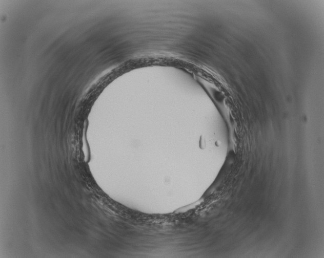 X0000079580872200612221428