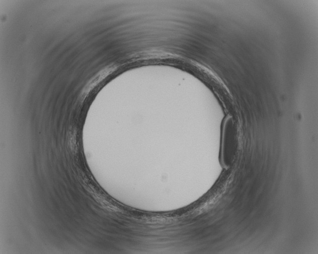 X0000079580873200612221428