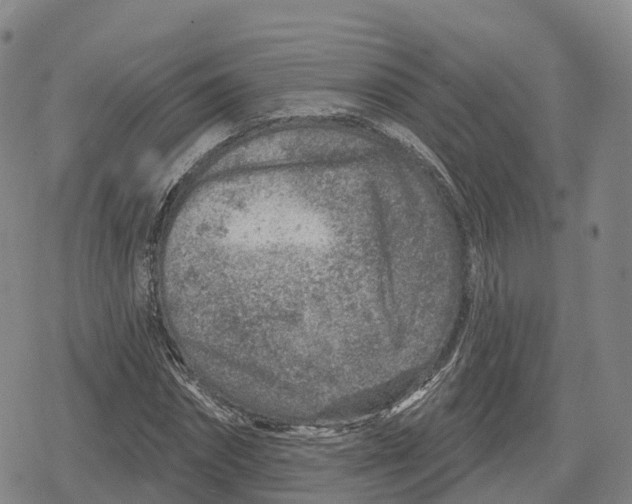 X0000079580874200612221428