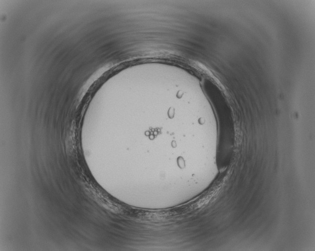 X0000079580875200612221428