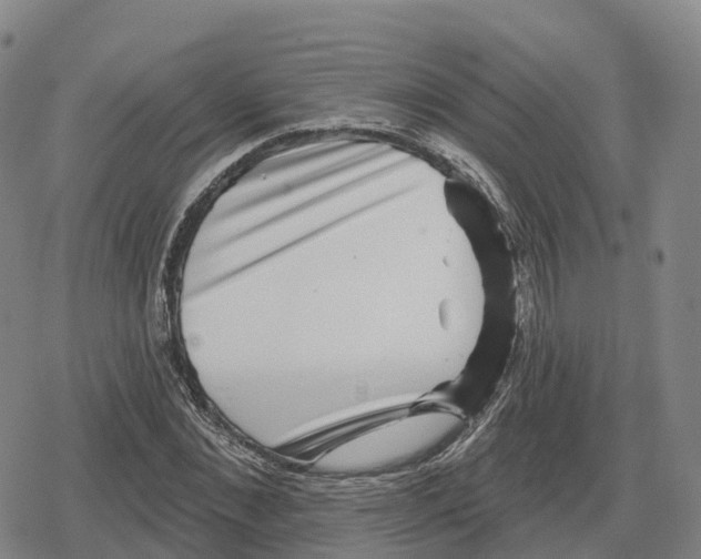 X0000079580876200612221428