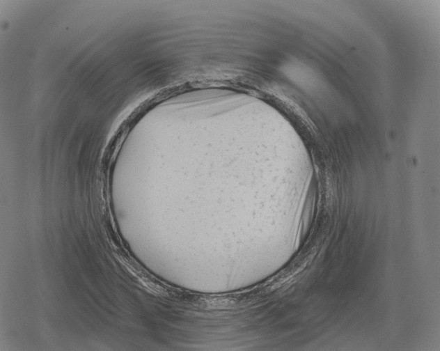 X0000079580878200612221428