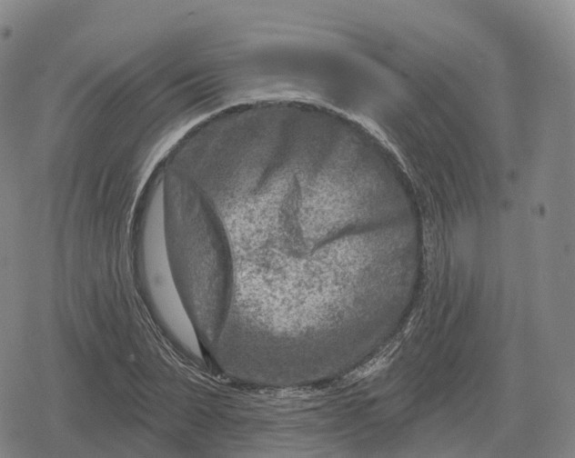 X0000079580879200612221428