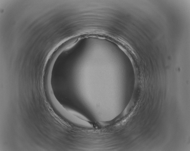 X0000079580880200612221428