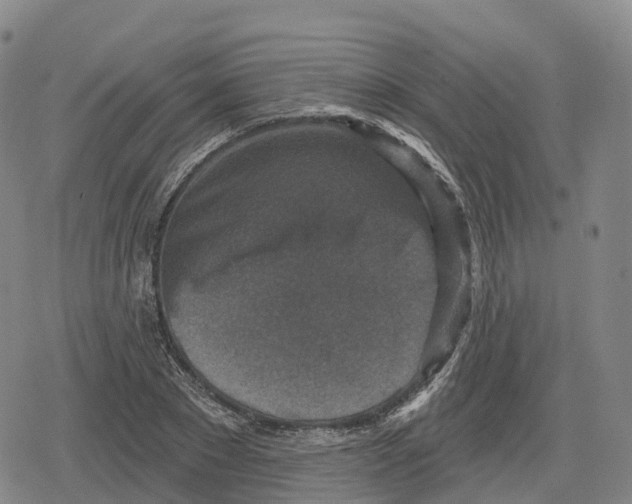 X0000079580881200612221428