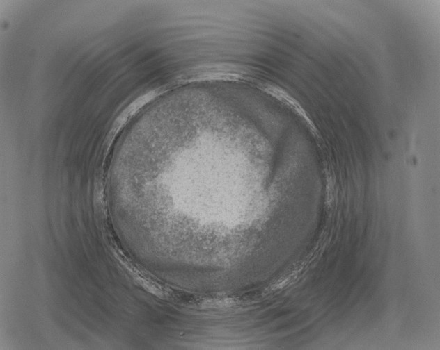 X0000079580882200612221428