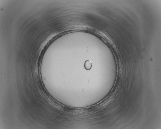 X0000079580883200612221428