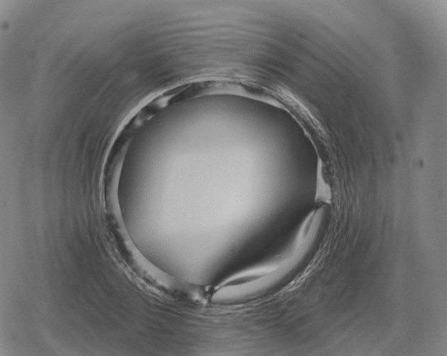 X0000079580884200612221428