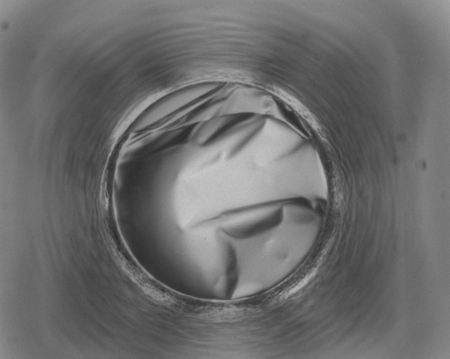 X0000079580885200612221428