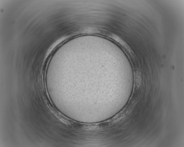 X0000079580886200612221428