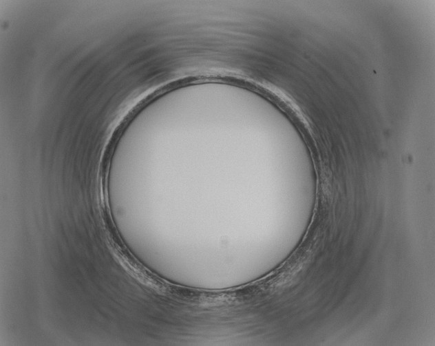 X0000079580887200612221428