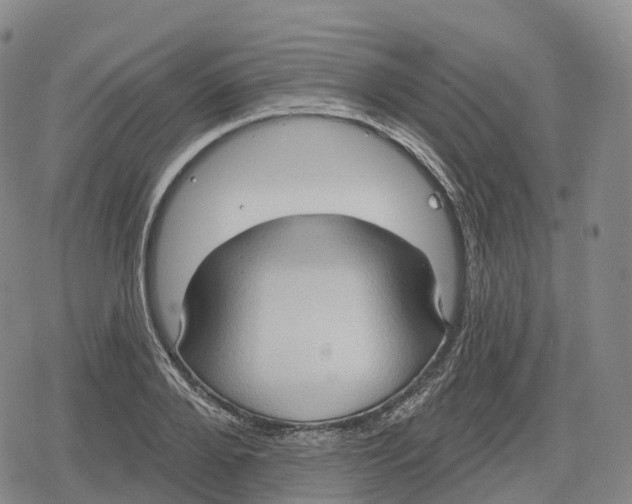 X0000079580888200612221428