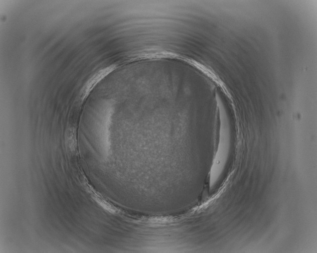 X0000079580889200612221428