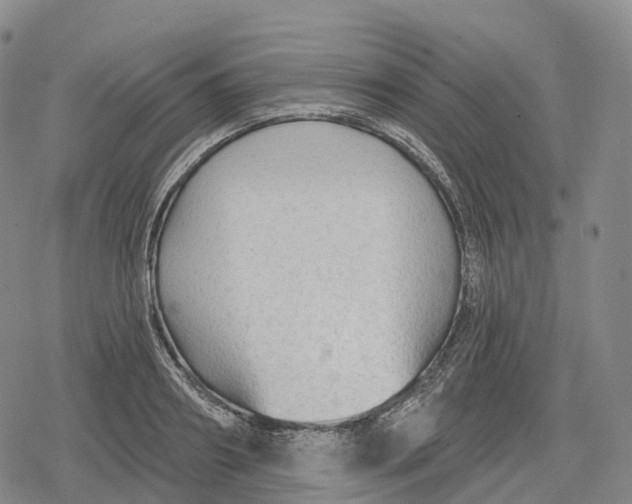 X0000079580890200612221428