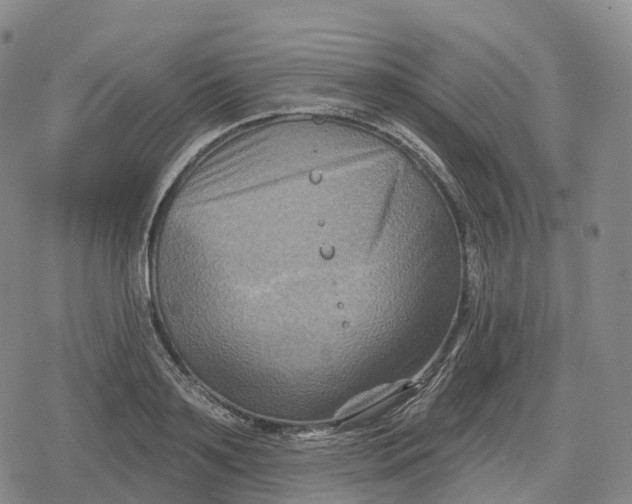 X0000079580891200612221428