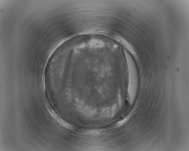 X0000079580892200612221428