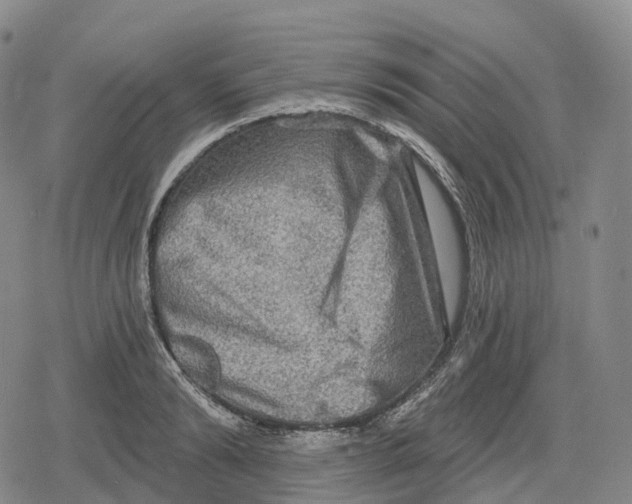 X0000079580894200612221428