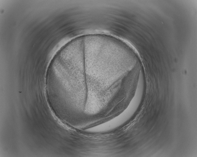 X0000079580895200612221428