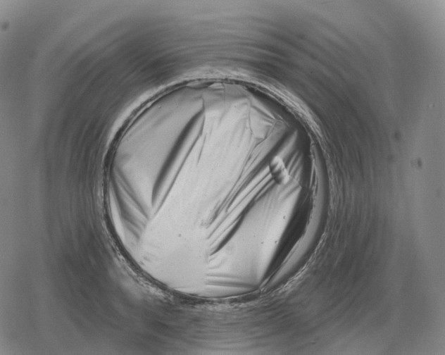 X0000079580896200612221428