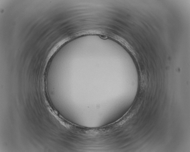 X0000079580898200612221427