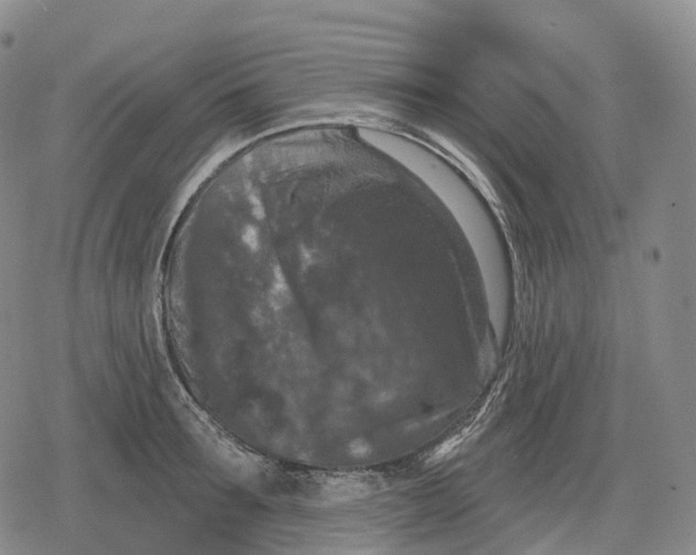 X0000079580899200612221427