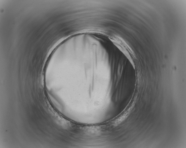 X0000079580900200612221427