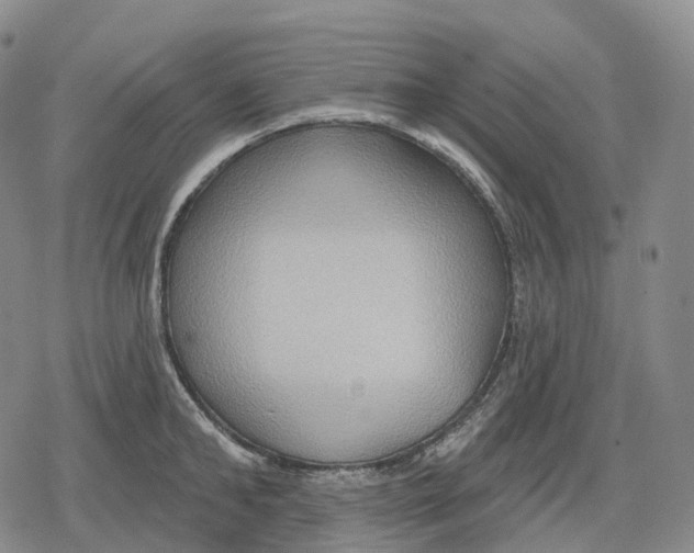 X0000079580902200612221427