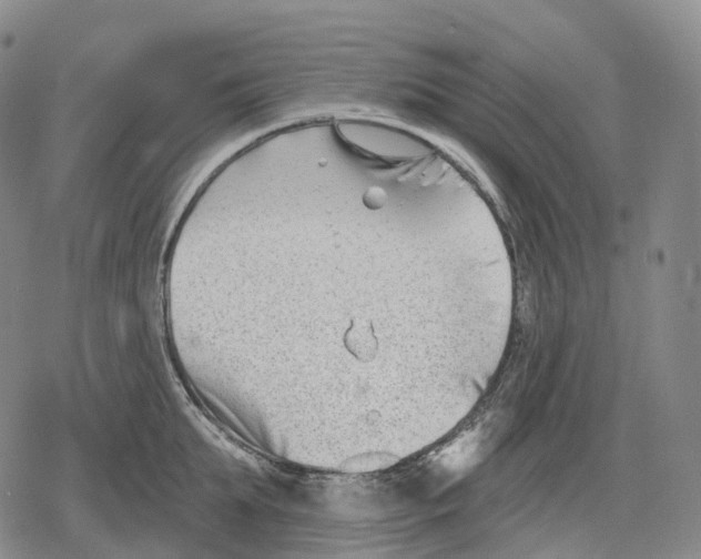 X0000079580903200612221427