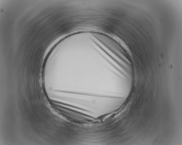 X0000079580904200612221427